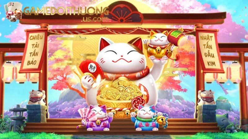 Những điểm hấp dẫn của Mèo Thần Tài