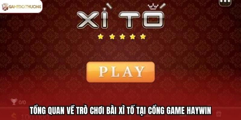 Tổng quan về trò chơi bài Xì Tố tại cổng game Haywin